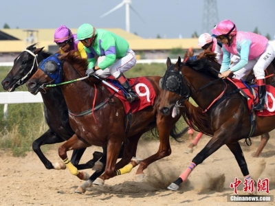 2019全國速度馬經典大賽暨科爾沁右翼中旗那達慕舉行