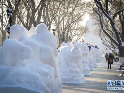 2020個雪人亮相冰城