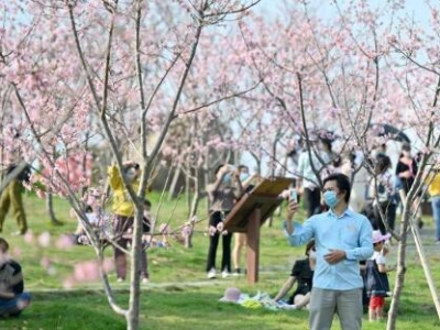多地鮮花盛開(kāi) 吸引大批游客駐足觀看