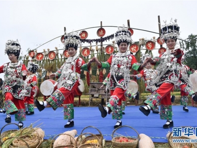 多地迎來:多彩活動(dòng) 喜迎豐收